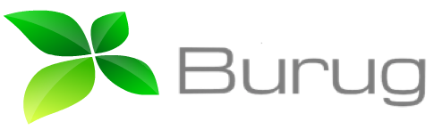 Burug LLC