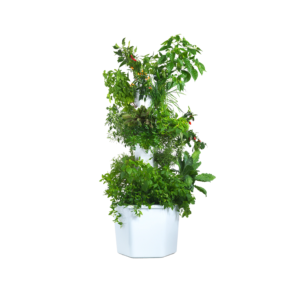 Aerospring アウトドア水耕栽培システム